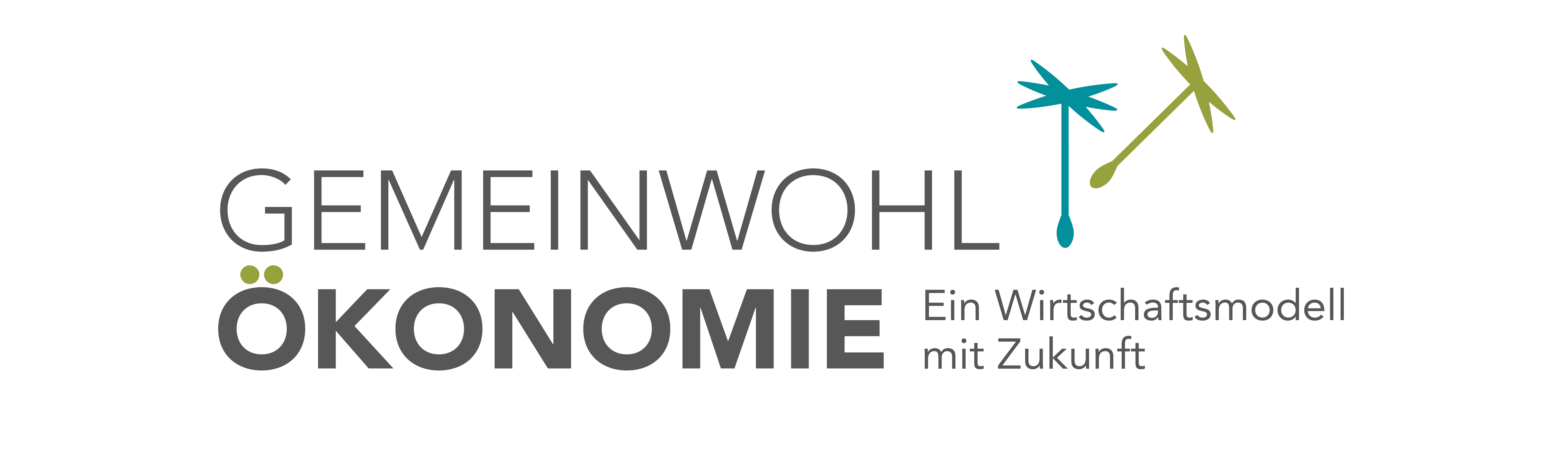 Economy of common good